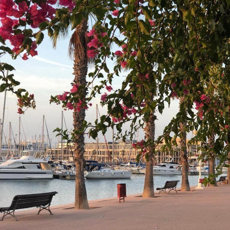 10-46-1- Комната В Квартире Для 4 Человек В Аликанте Alicante Exterior foto